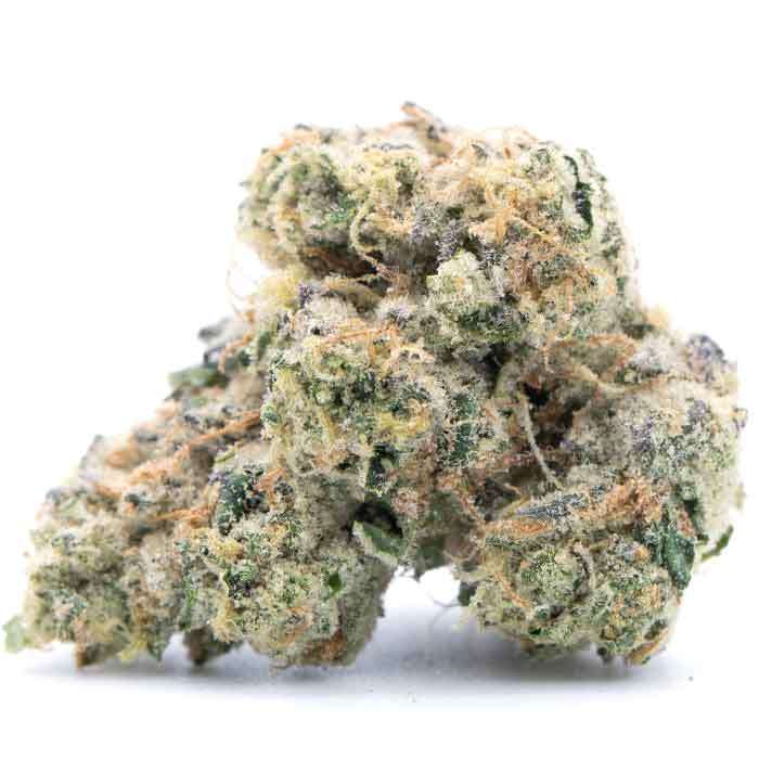 Yoda OG