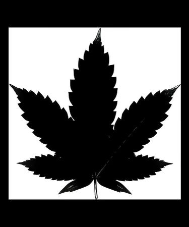Dc Dispensary