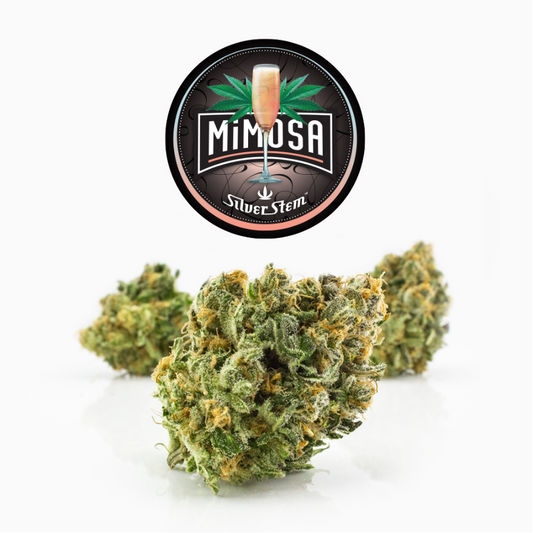MIMOSA